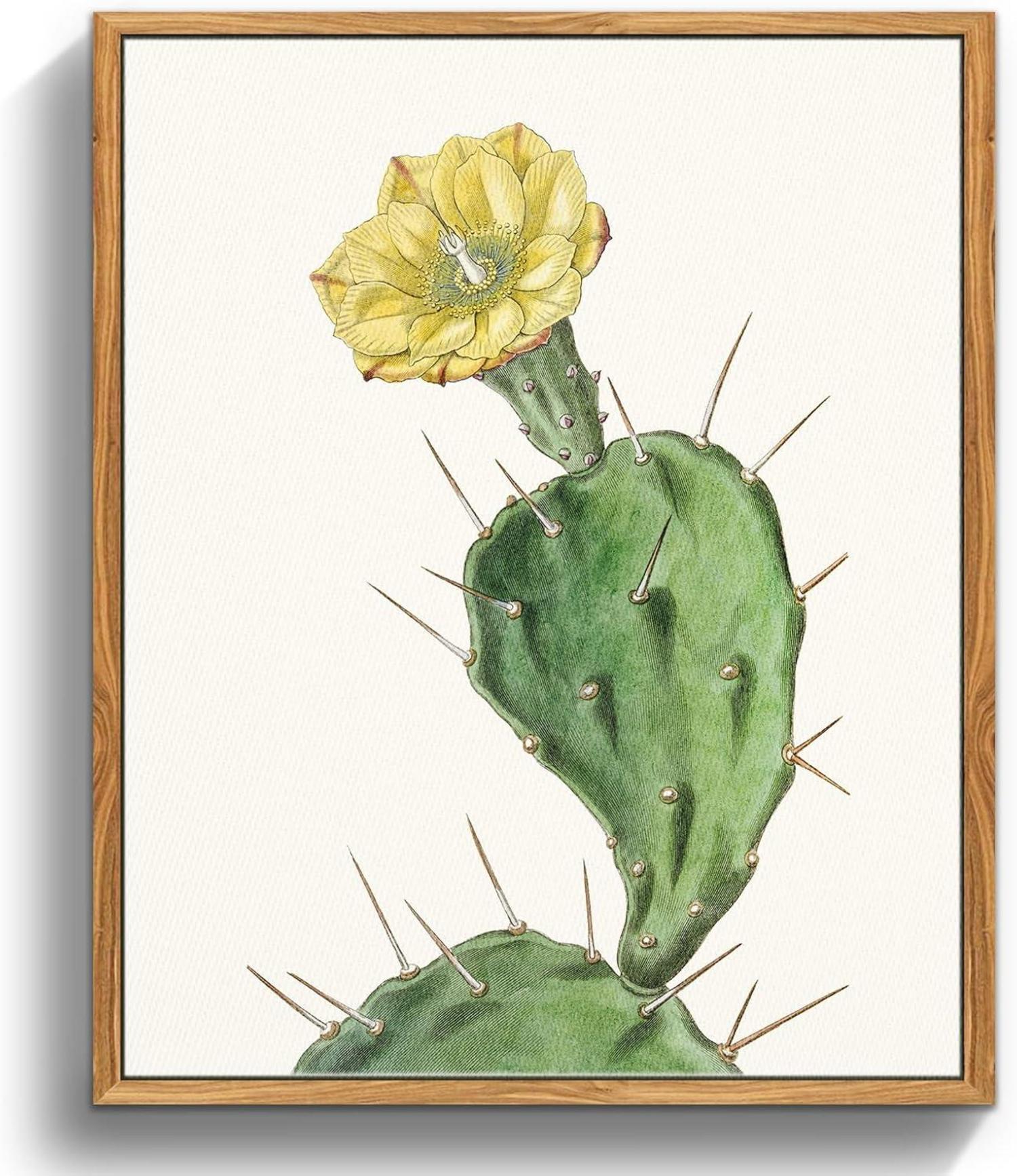 Vintage Botanische Leinwandbilder mit Holzrahmen 20x25cm Opuntia