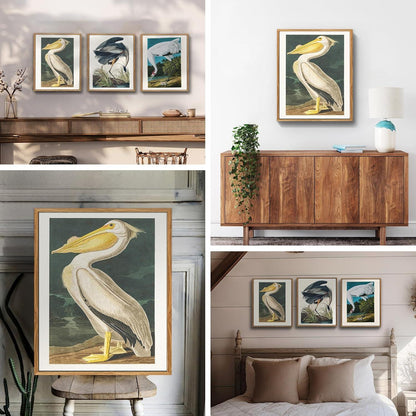 Vintage Vogel Leinwandbild mit Rahmen 30x40cm Aesthetic Tier