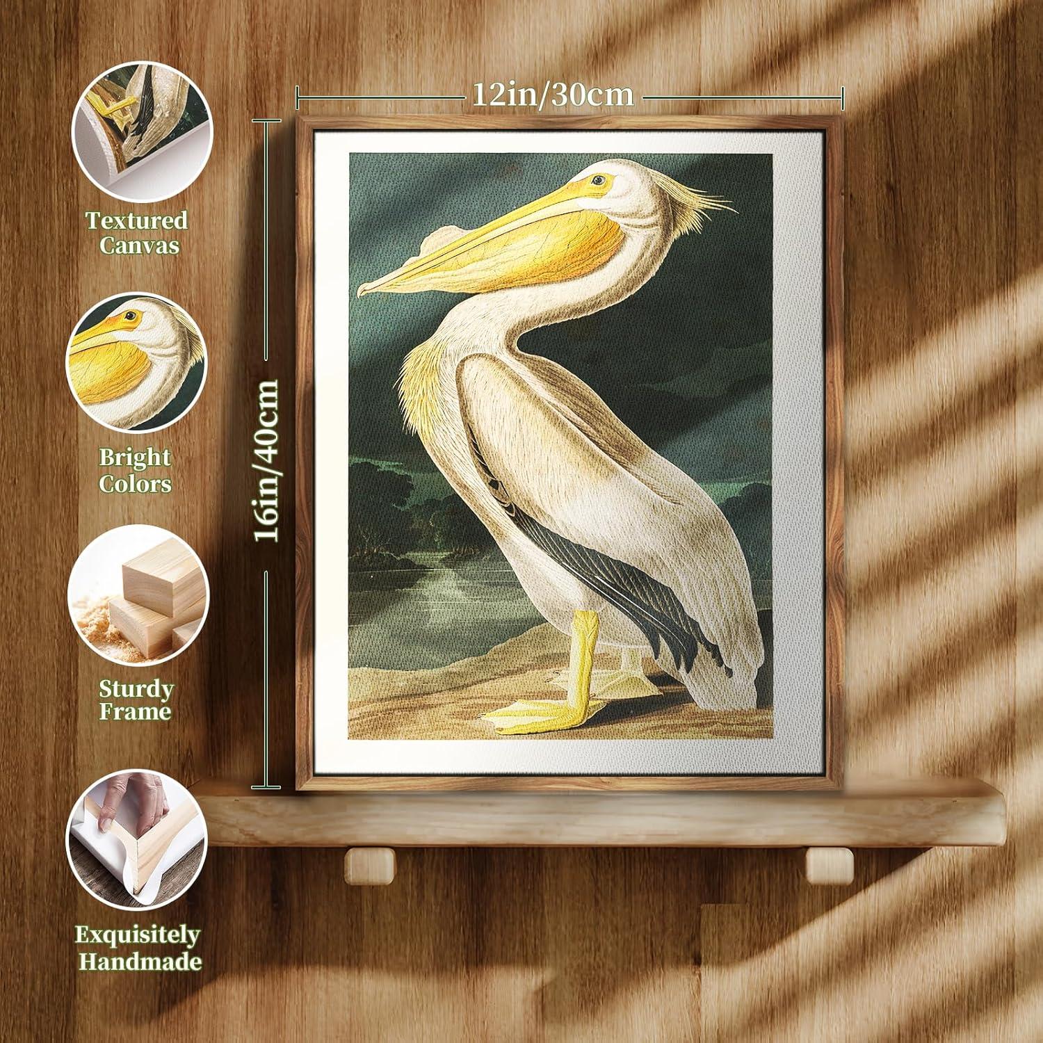 Vintage Vogel Leinwandbild Weißer Pelikan mit Holzrahmen 30x40 cm