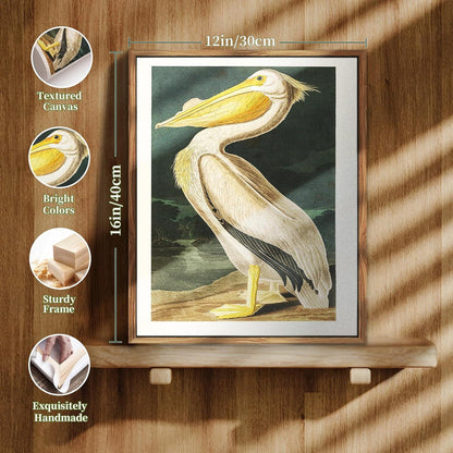 Vintage Vogel Leinwandbild Weißer Pelikan mit Holzrahmen 30x40 cm