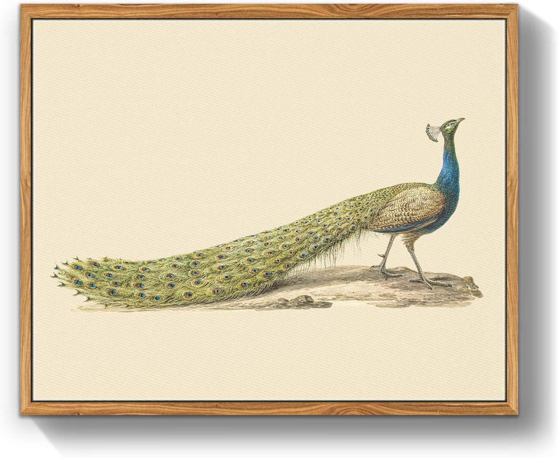 Vintage Vogel Leinwand Bilder mit Rahmen Holz Wandbilder 30x40 cm