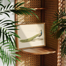 Vintage Blauer Pfau Leinwandbild mit Holzrahmen 30x40cm