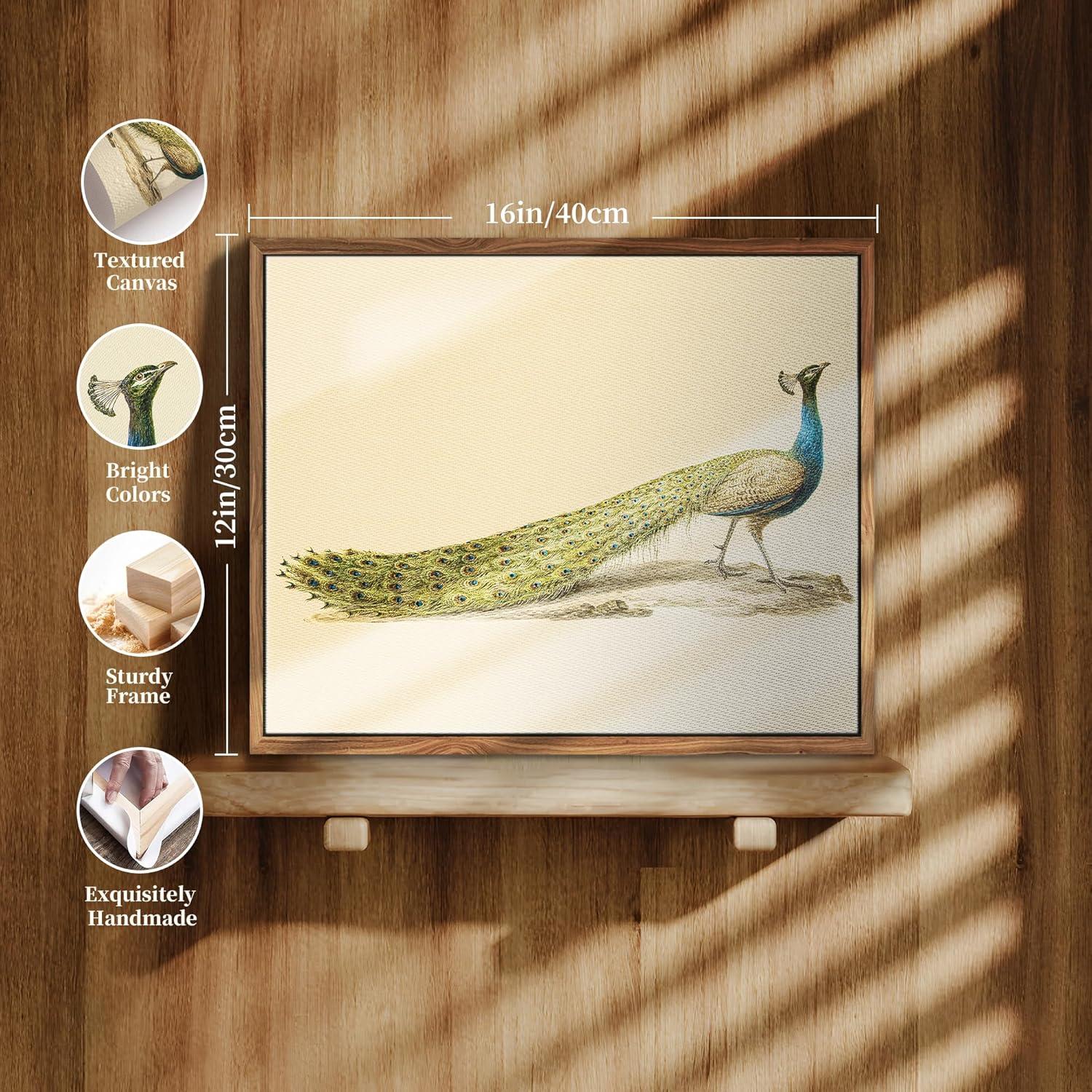 Vintage Pfau Leinwandbild mit Rahmen 30x40 cm blau Wohnzimmer Büro Dekoration