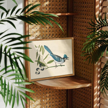 Vintage Blauschopfhäher Leinwand Bild mit Holzrahmen 30x40