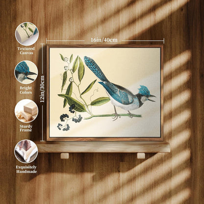 Vintage Vogel Leinwand Bilder mit Rahmen 30x40 cm Blauschopfhäher Aesthetic