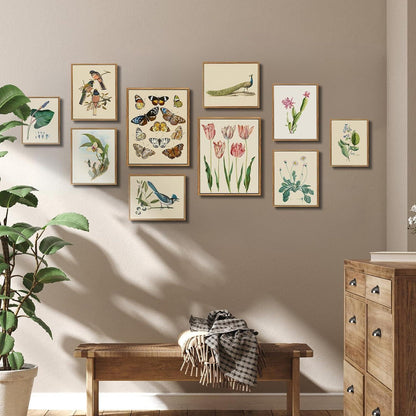 Vintage Blauschopfhäher Leinwandbild mit Holzrahmen 30x40cm Wanddekoration