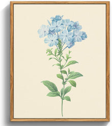 Vintage Botanische Leinwandbilder mit Rahmen 30x40 cm Wohnzimmer