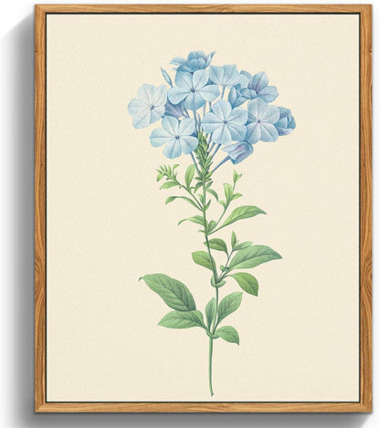 Vintage Botanische Leinwandbilder mit Rahmen 30x40 cm Wohnzimmer