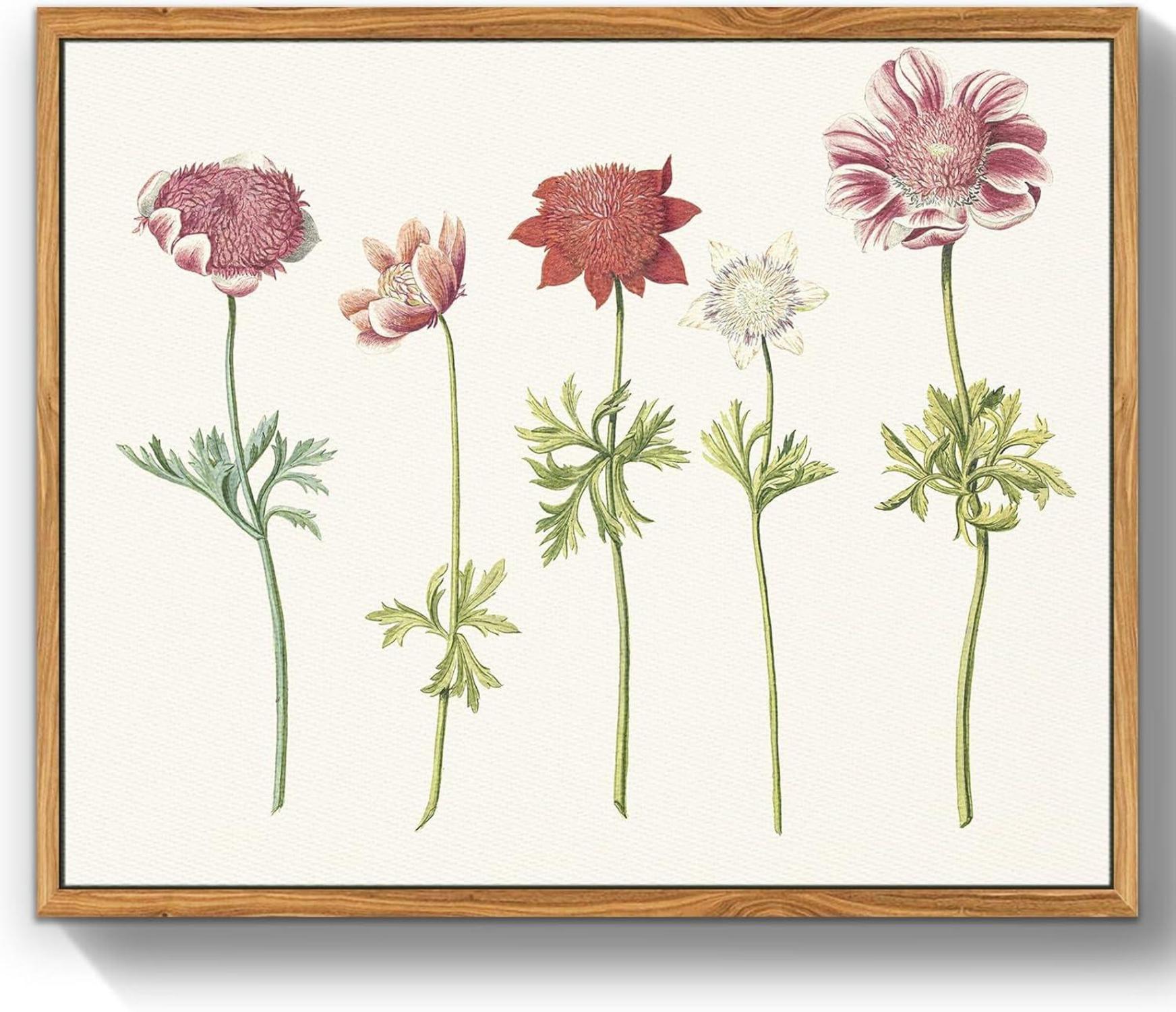 Vintage Botanische Leinwandbilder mit Holzrahmen 30x40cm Aesthetic