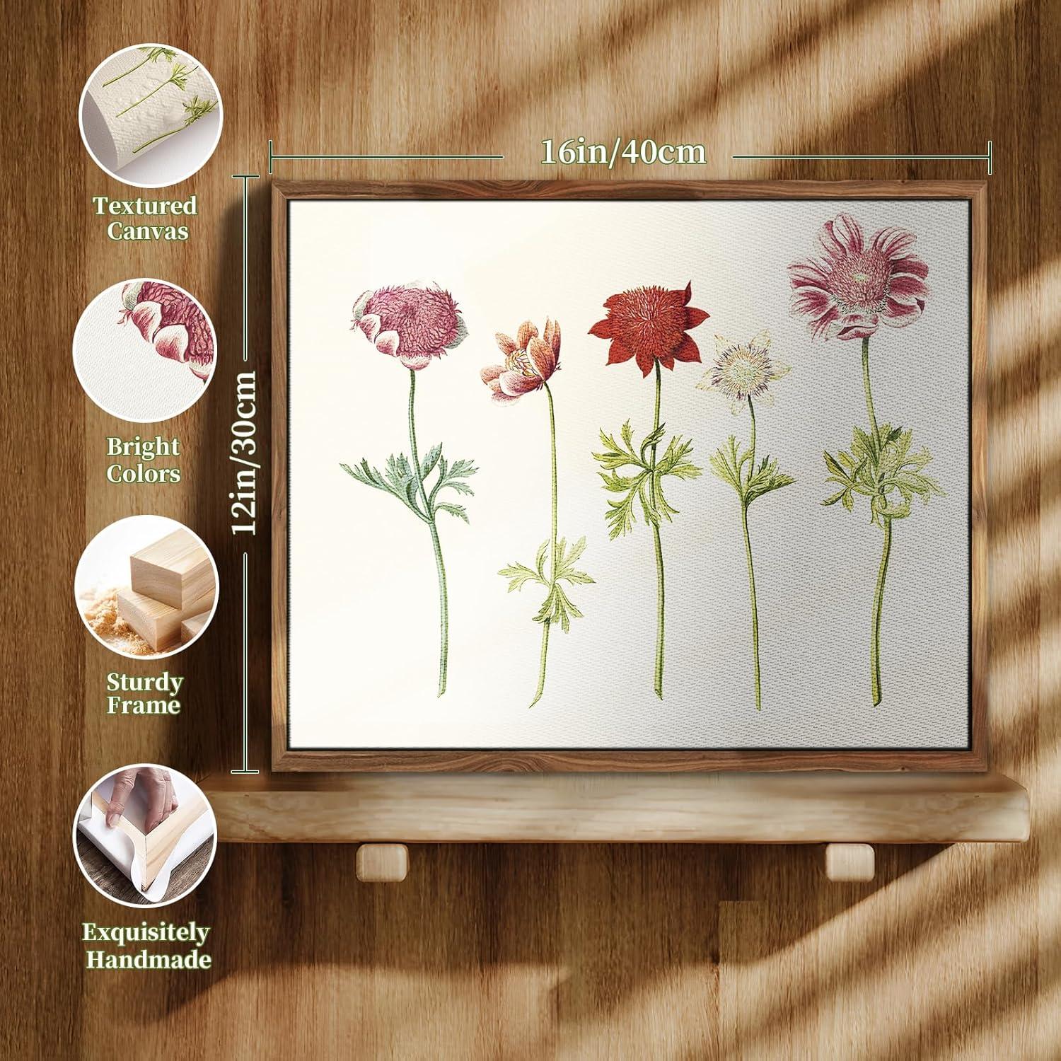 MHARTK66 Vintage Botanische Leinwandbilder mit Holzrahmen 30x40 cm - Aesthetic Blumen Illustration Wanddekoration