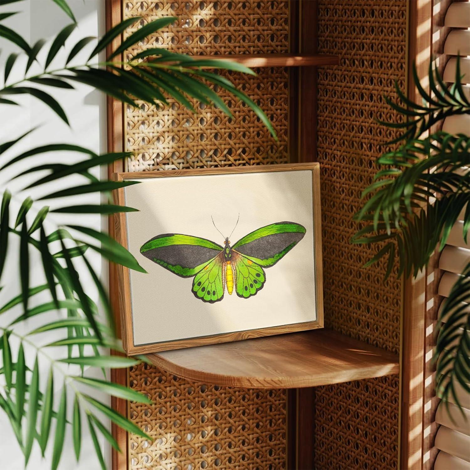 Insekten Leinwand Bilder mit Rahmen - Vintage Aesthetic