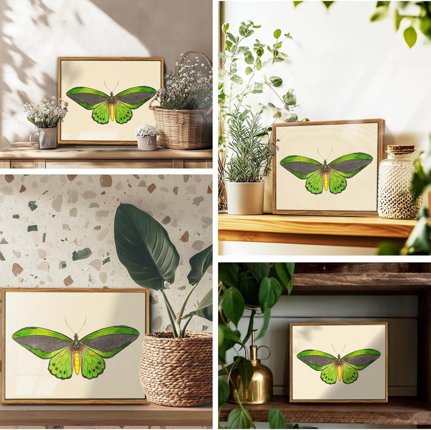 Vintage Insekten Leinwandbilder mit Rahmen 20x25cm Grüner Vogelflügel
