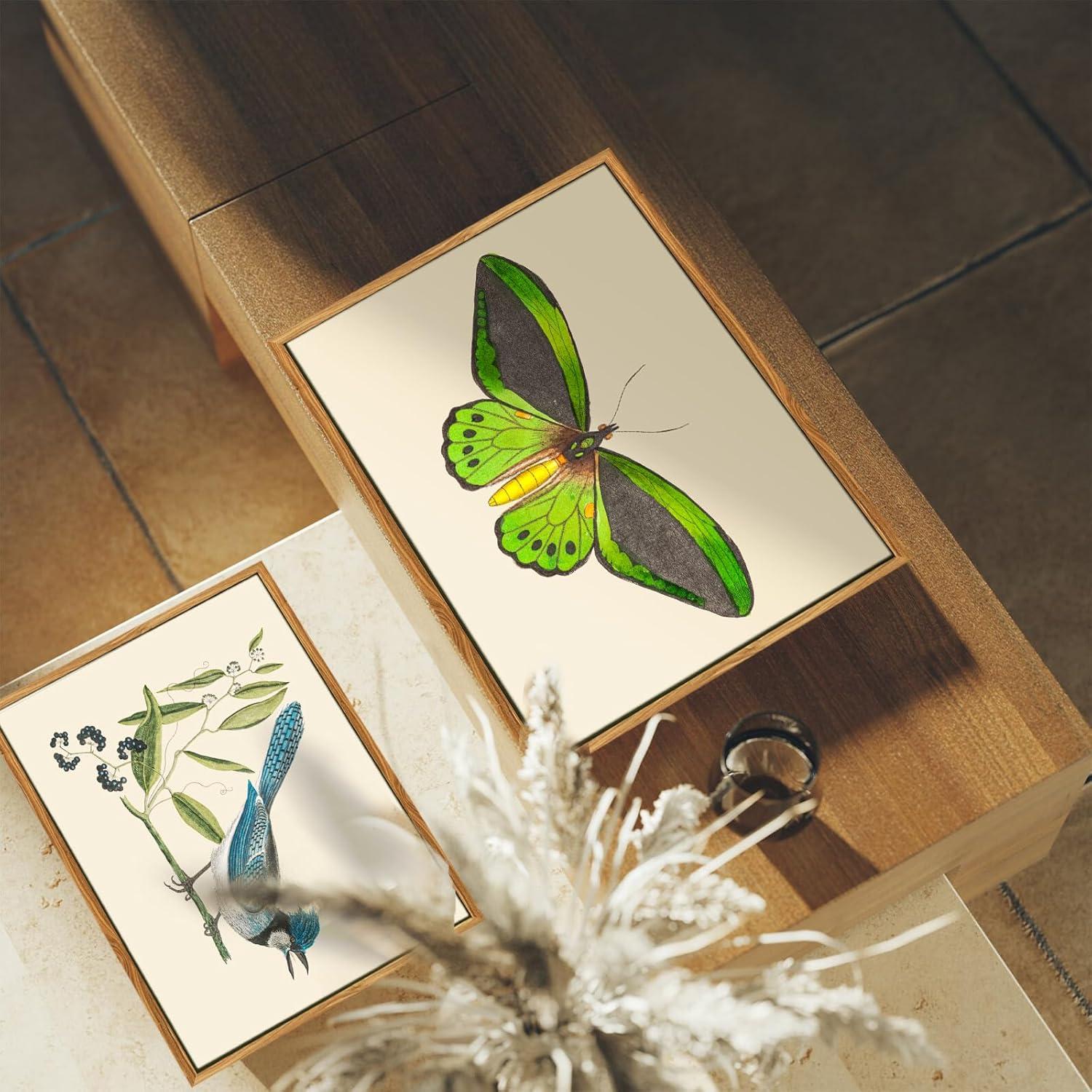 Vintage Insekten Leinwand Bilder mit Rahmen 20x25cm Wohnzimmer