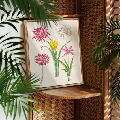Vintage Botanische Leinwandbilder mit Rahmen, 20x25 cm