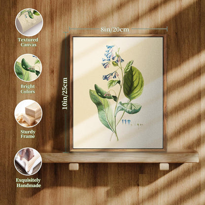 MHARTK66 Vintage Botanische Leinwandbilder mit Holzrahmen 20x25cm Wohnzimmer Badezimmer Büro Wall Art