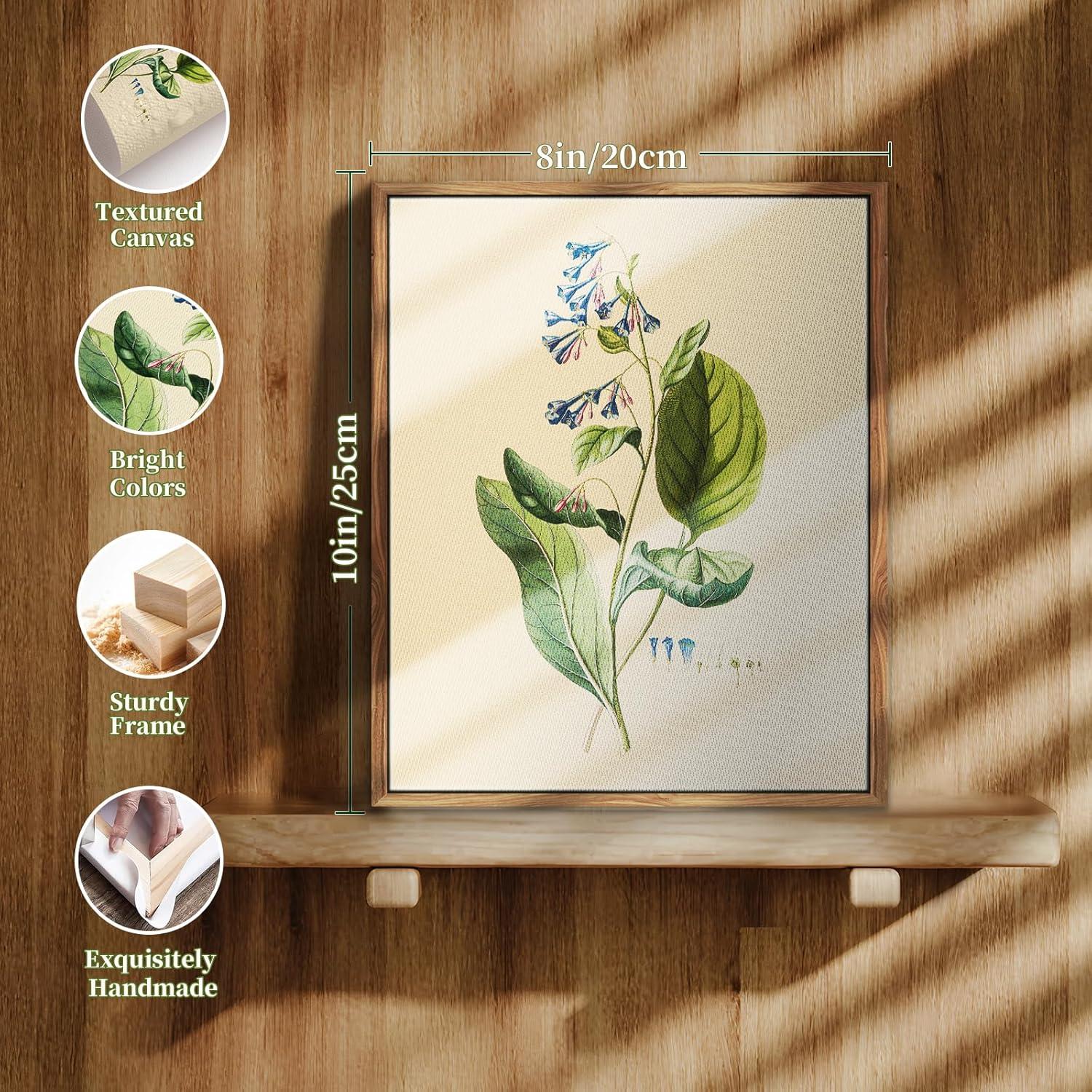 MHARTK66 Vintage Botanische Leinwandbilder mit Holzrahmen 20x25cm Wohnzimmer Badezimmer Büro Wall Art