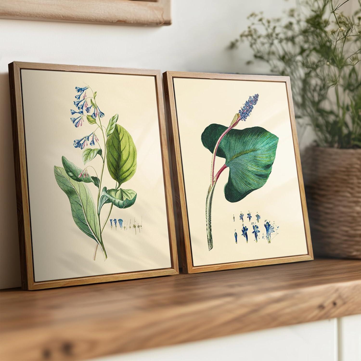 Vintage Botanische Leinwandbilder mit Holzrahmen 20x25cm Wohnzimmer