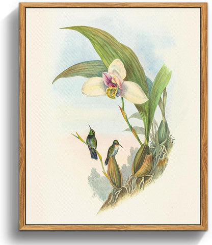 Vintage Vogel Leinwand Bilder mit Rahmen 30x40 cm Wanddekoration