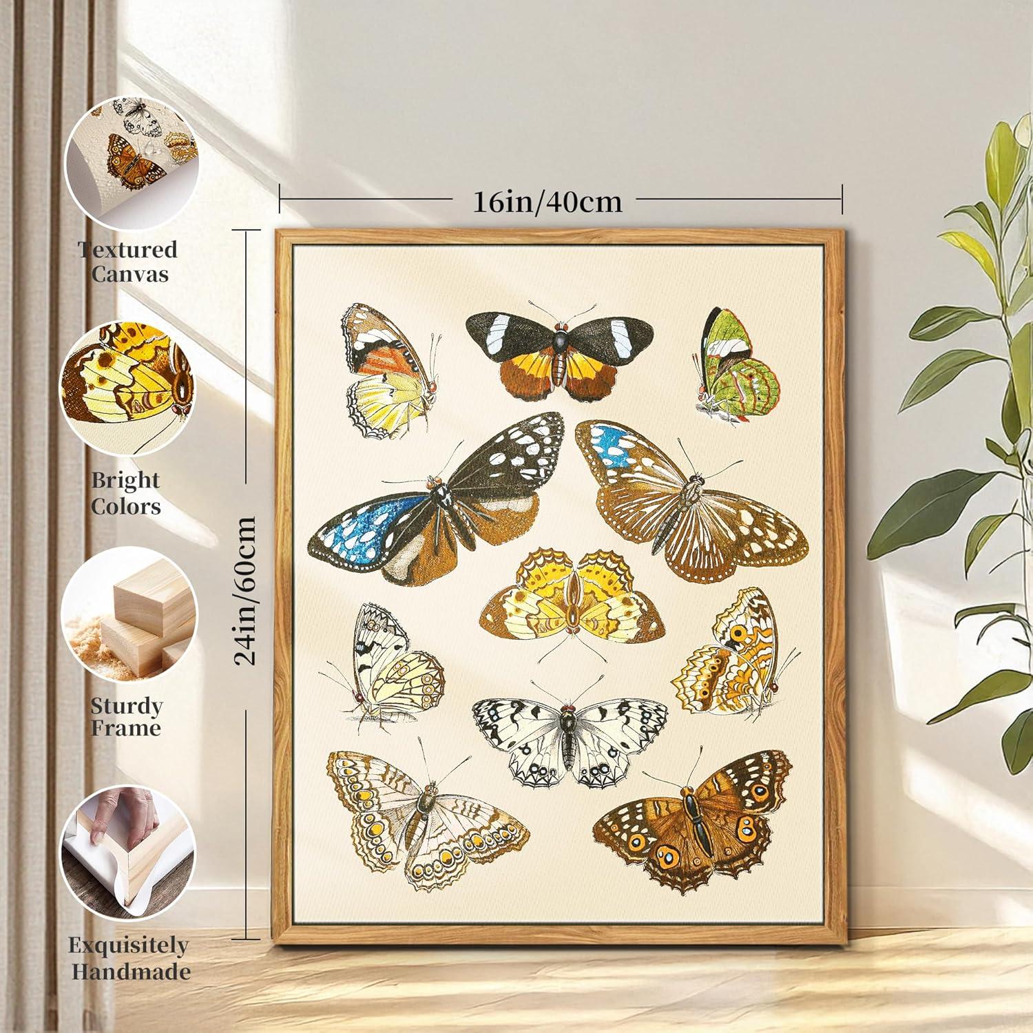 MHARTK66 Vintage Insekten Leinwandbild mit Holzrahmen 40x60cm - Wandbilder Wohnzimmer Schlafzimmer Badezimmer Büro