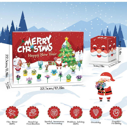 Adventskalender 2024 Mädchen Sukkulenten