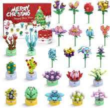 Adventskalender 2024 Kinder Mädchen 24er Pack Sukkulenten