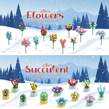 Adventskalender 2024 Mädchen Sukkulenten
