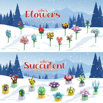 Adventskalender 2024 Mädchen Sukkulenten