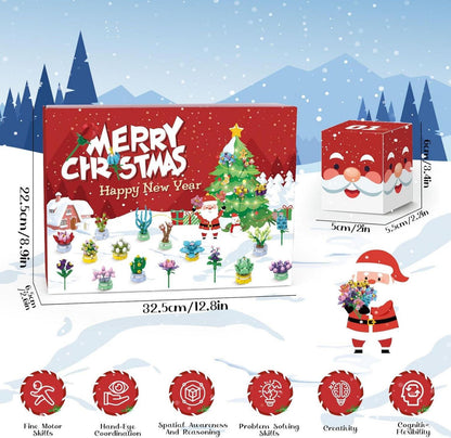 Adventskalender 2024 Kinder Mädchen 24er Pack Sukkulenten