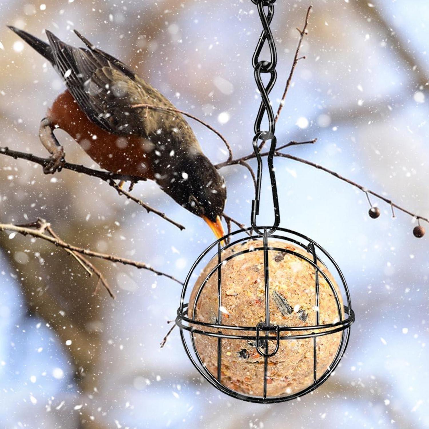 Meisenknödelhalter 4er Set Vogelfutterspender Metall für Vögel Gartendeko