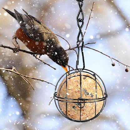 Meisenknödelhalter 4er Set Vogelfutterspender Metall für Vögel Gartendeko