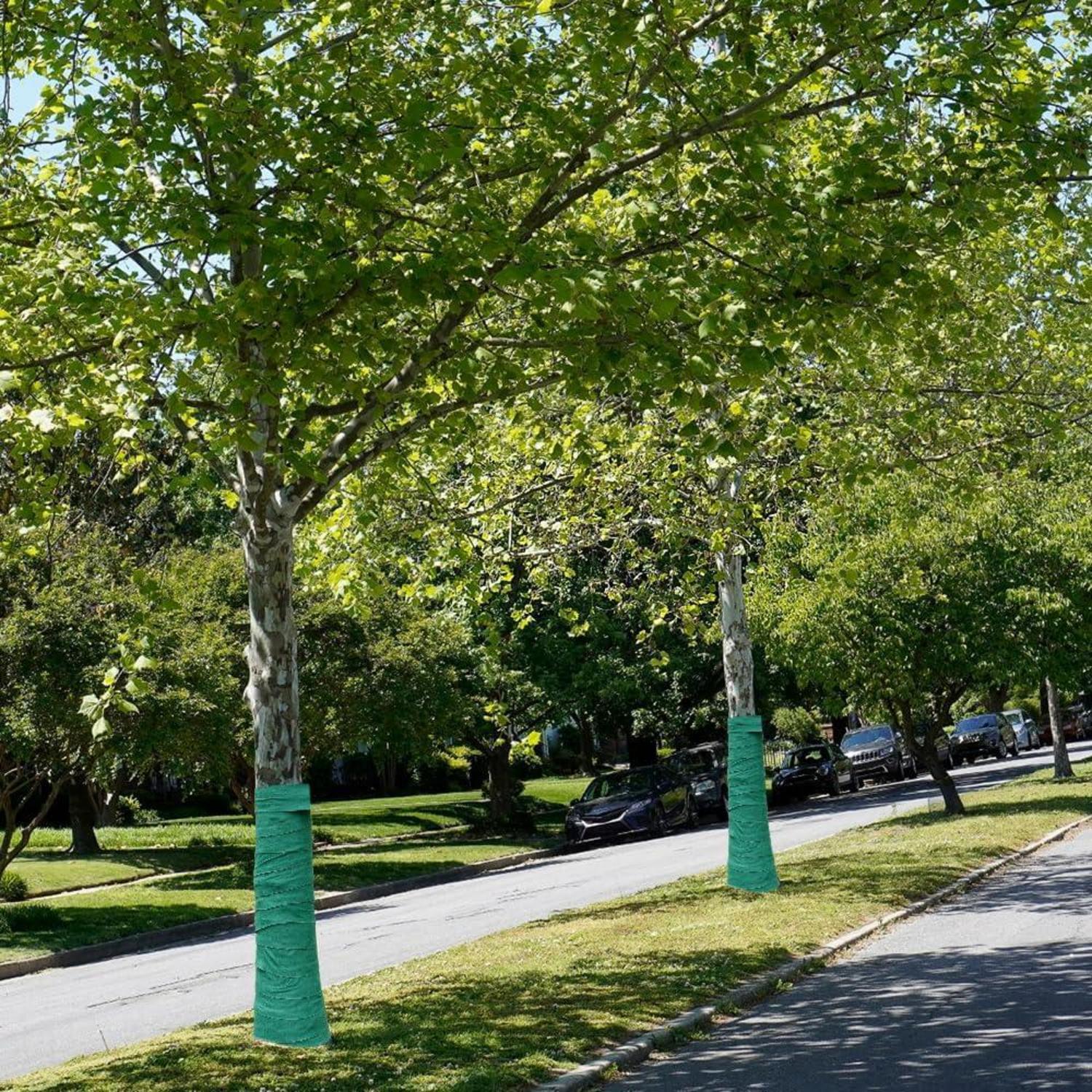 Baumschutzbandage 2 Rollen 20mx12cm Winterfest Pflanzenschutz Frostschutz