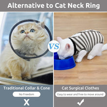 Katzenbody OP Postoperative Katzenkleidung Erholungsanzug