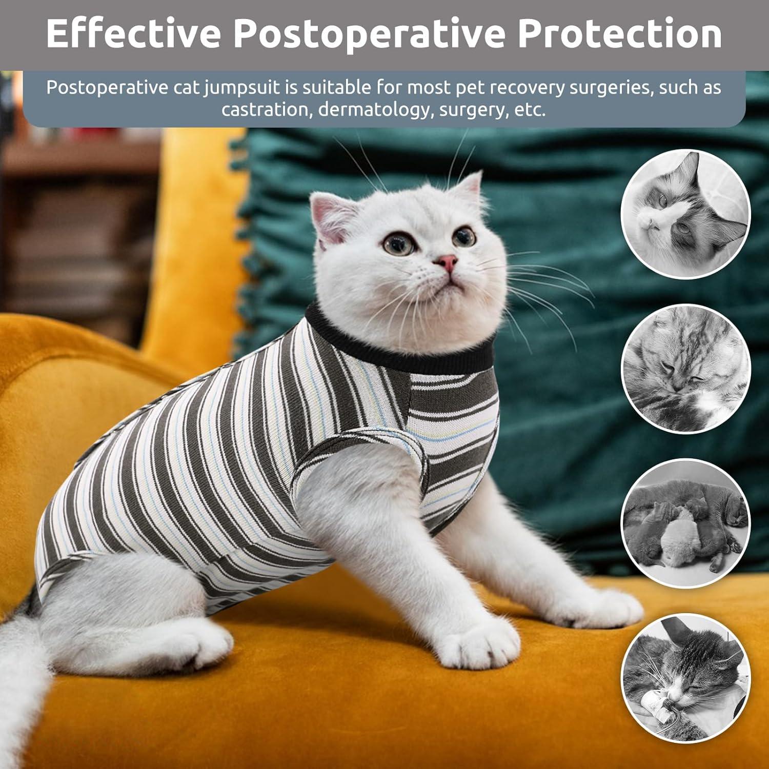 Katzenbody nach OP Bauchwunden Erholungsanzug, E-Halsband Alternative, Schwarz M