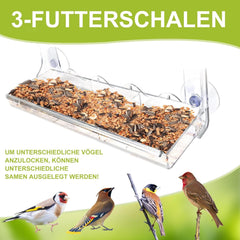 Transparentes Vogelhaus Fensterscheibe mit Saugnäpfen