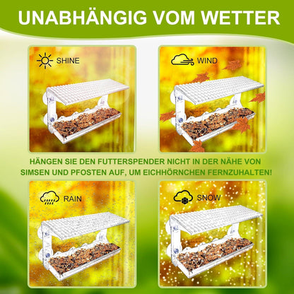 Transparentes Vogelhaus Fensterscheibe mit Saugnäpfen, Vogelfutterspender
