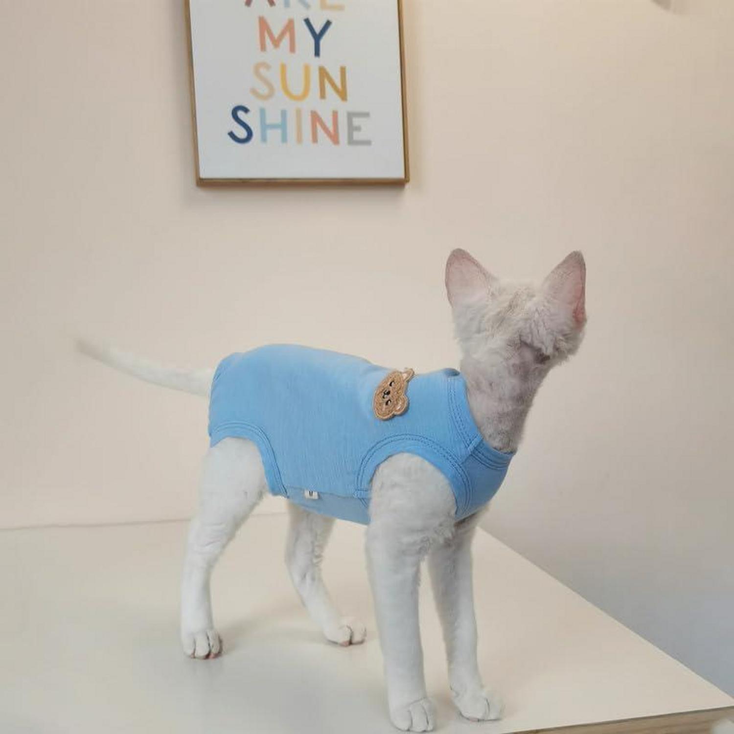 Katzenbody nach OP Sphynx Katze Blau Größe L