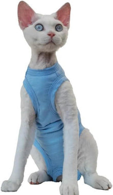 Katzenbody nach OP Kastration Bauchschutz Blau M