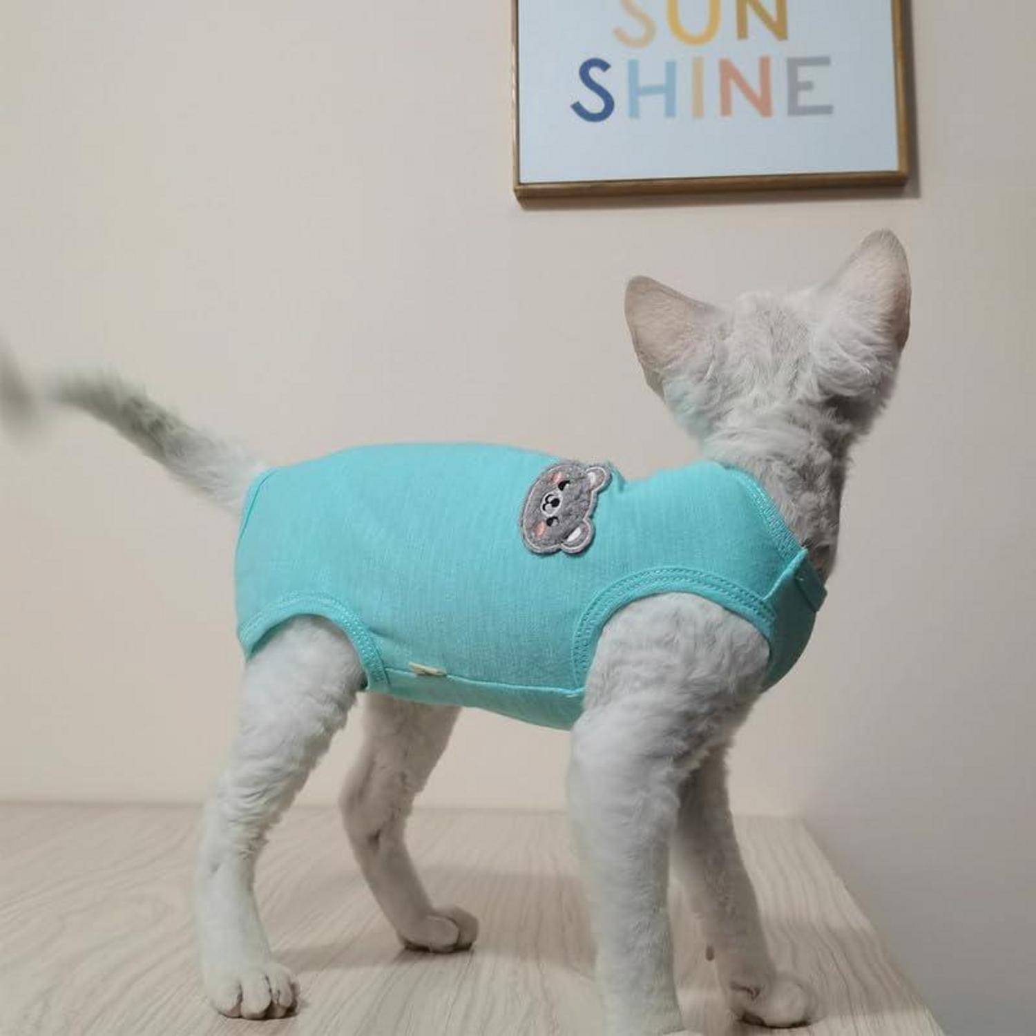 Katzenbody nach OP Sphynx Katzen Kleidung Dehnbar Kastration Shirt Blaugrün L
