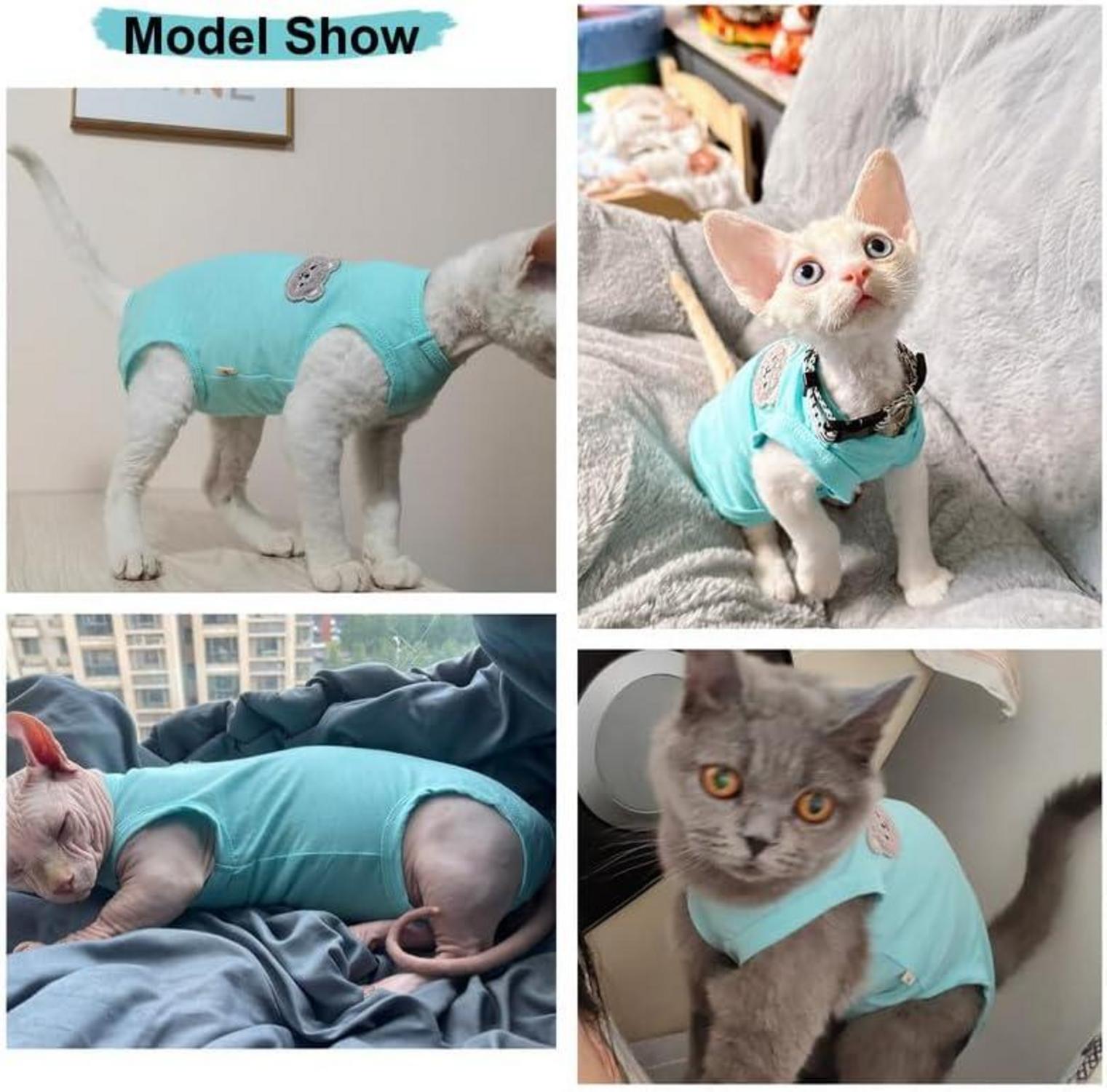 Katzenbody Sphynx Katze OP Kastration Blaugrün L - Kastrationsbody
