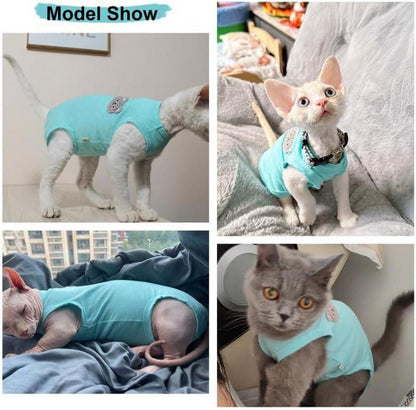 Katzenbody Sphynx Katze OP Kastration Blaugrün L - Kastrationsbody