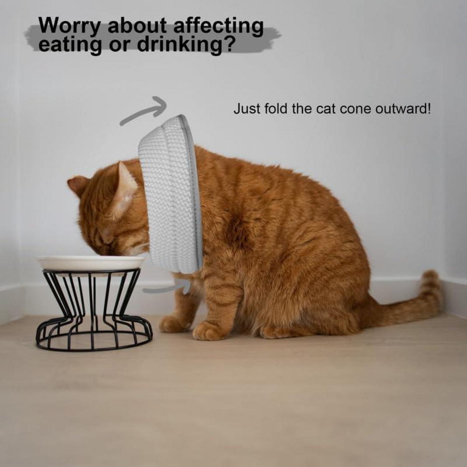 Katzen Halskrause Weich Leichtgewicht OP Grau M