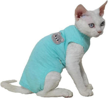 Katzenbody nach OP Sphynx Katze Dehnbar Bauchschutz Blaugrün M