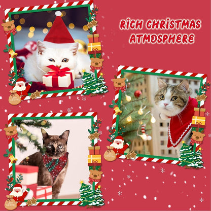Katzen Adventskalender 12 Tage Weihnachts Countdown