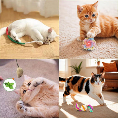 Katze Adventskalender 2024 12-tlg. Weihnachts Countdown für Katzen mit Spielzeug