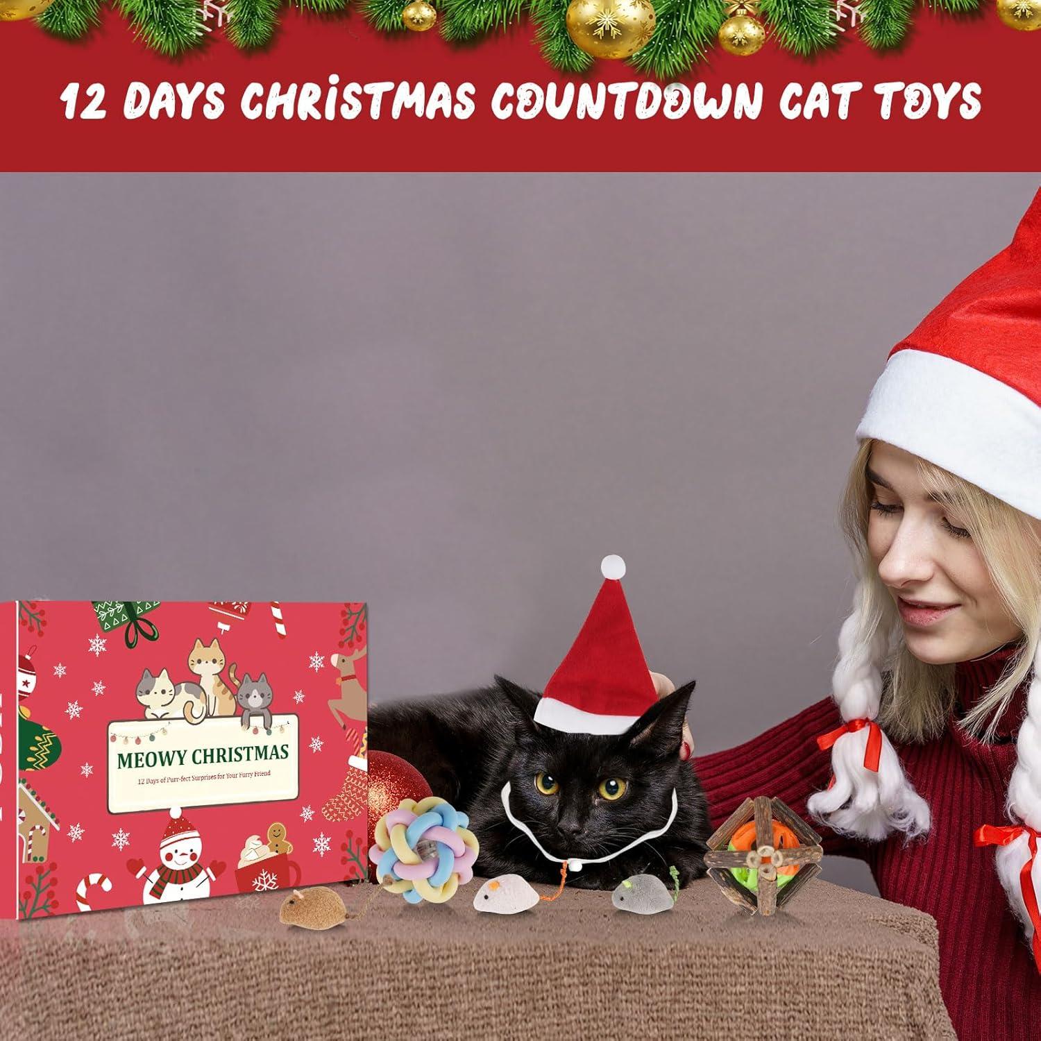 Katze Adventskalender 12-tlg. Weihnachts Countdown Spielzeug für