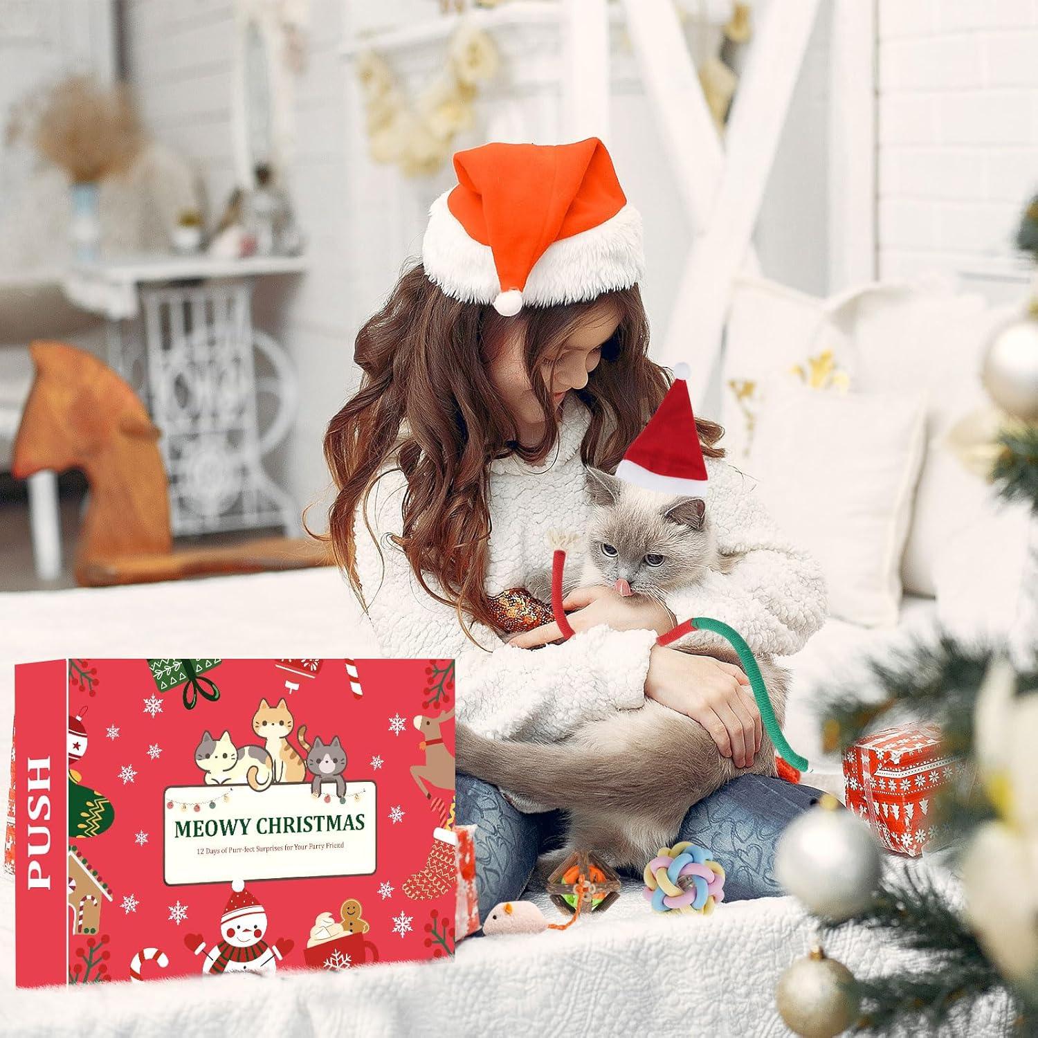 Katze Adventskalender 2024 12-tlg. Weihnachts Countdown für Katzen mit Spielzeug