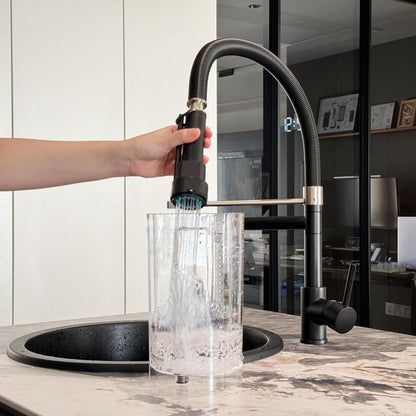 Schwarzer Küchen Wasserhahn Ausziehbar 360° Schwenkbar Spiralfeder- Hochdruck