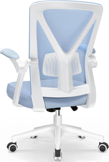 Ergonomischer Bürostuhl mit Lendenstütze, Armlehnen, Höhenverstellung
