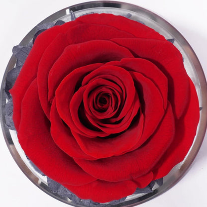 Ewige Rose Engel Figur Geschenkbox Valentinstag Weihnachten