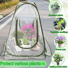 Transparentes PVC Mini Gewächshaus 70x70x80cm - Winter